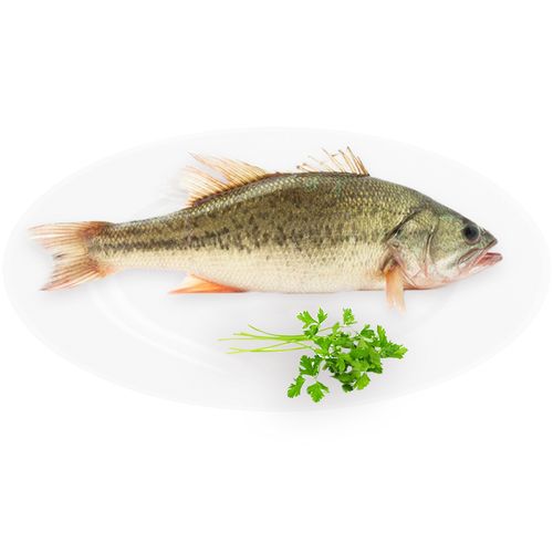 推薦蔬菜配送價(jià)格哪家最敬業(yè)