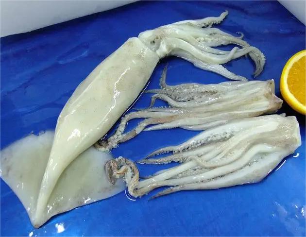 推薦蔬菜配送價格廠家哪家好