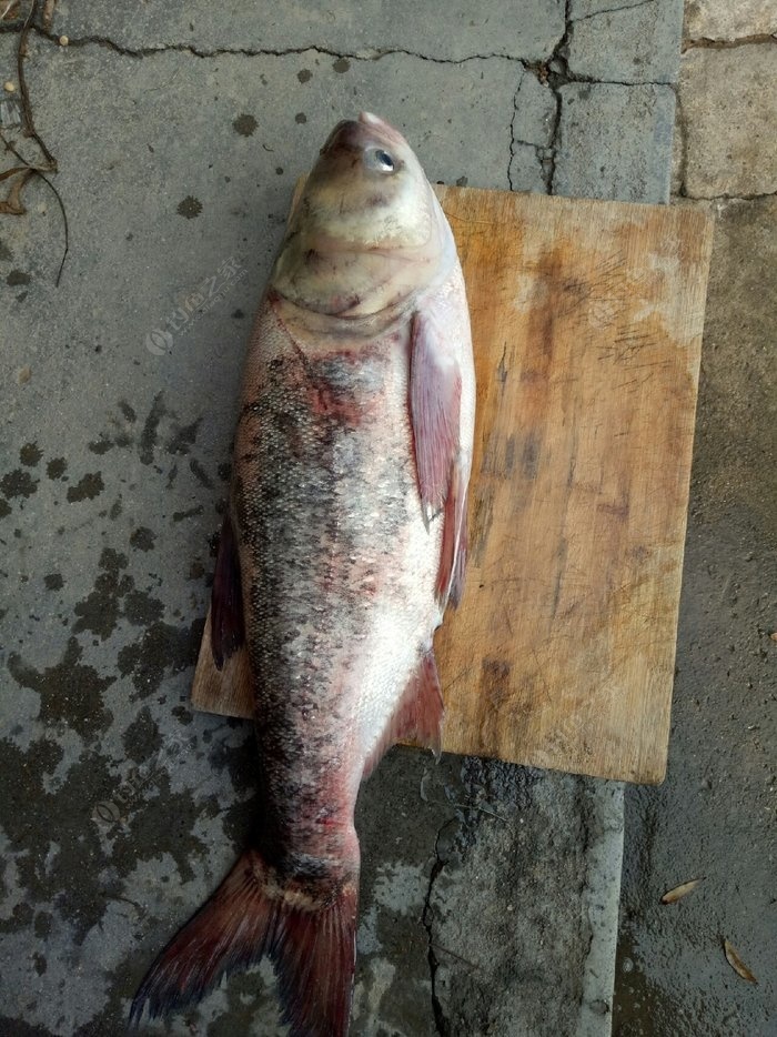 春天調(diào)養(yǎng)情志應(yīng)注意什么？早春