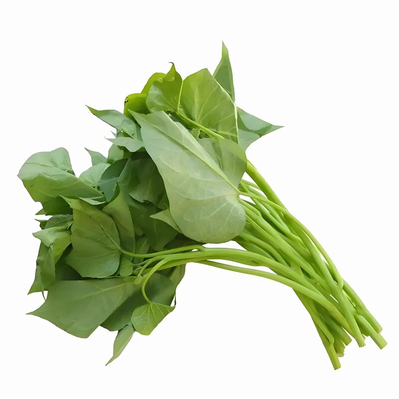 春季保健小常識(shí) 春季健康小常識(shí)大全