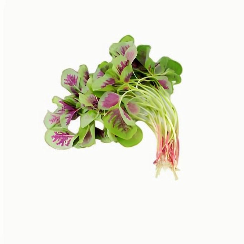 春分的來(lái)歷，春分的習(xí)俗有哪些，春分的節(jié)氣特征