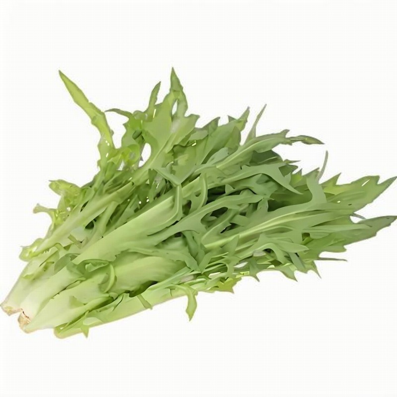 “春困”糾纏著都市白領早春