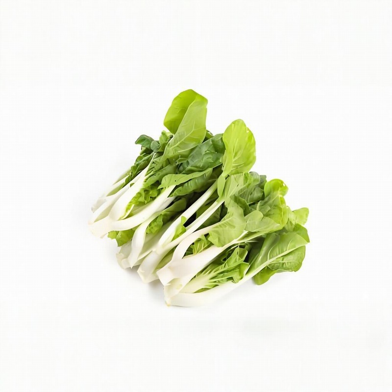 春分養(yǎng)生 切勿大熱大寒早春