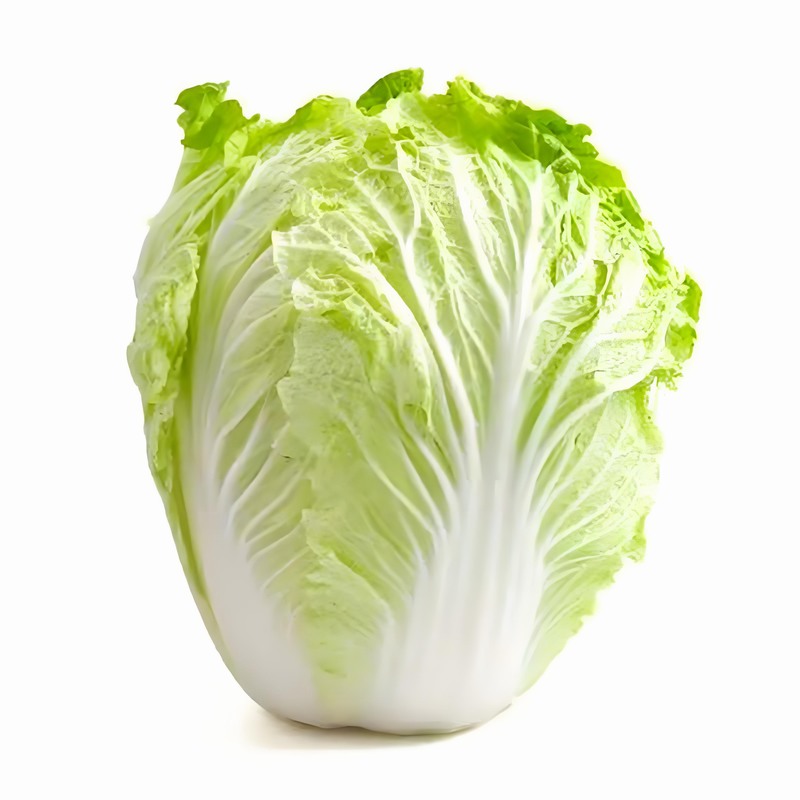 春季保健養(yǎng)生知識(shí)大全 春季養(yǎng)生的食物